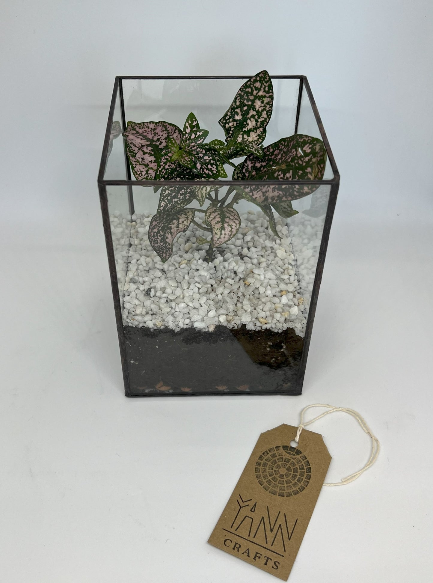 Glass Box 10*10*15